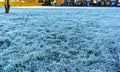 first frost on the grass in November. Royalty Free Stock Photo