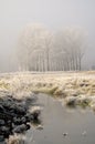 First Frost - Landscape