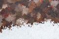 First frost leaves berries