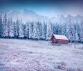 First frost in mountain village. Royalty Free Stock Photo