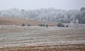 First frost of the season Royalty Free Stock Photo