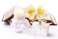 First holy communion Royalty Free Stock Photo