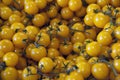 Little yellow tomatoes sold at the market.