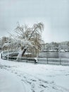 First important snow in Bucharest Royalty Free Stock Photo