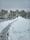 First important snow in Bucharest Royalty Free Stock Photo