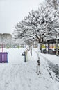 First important snow in Bucharest Royalty Free Stock Photo