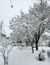First important snow in Bucharest Royalty Free Stock Photo