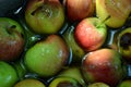 The first juicy small green apples with red, yellow, dark spots float in clear water. Royalty Free Stock Photo