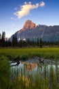 First light on Mount Chephren, Banff, National Park, Alberta, Ca Royalty Free Stock Photo