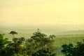 first light of sunrise on forest hill in rural and silhoueiie birds flying in morning Royalty Free Stock Photo