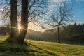 First lights in the morning, in Berriz, Basque Country