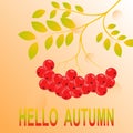 First November hello Autumn Background.