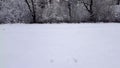 First person downhill on the snow