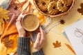 First person top view photo of female hands in pullover holding cup of frothy cocoa over scarf yellow maple leaves anise wicker Royalty Free Stock Photo