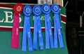 First Place Winner Ribbons Royalty Free Stock Photo