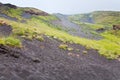 First plants on volcano gentle slope