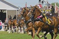 First Prize Belgian Draft Horses at Country Fair Royalty Free Stock Photo