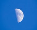 A first quarter moon against a blue sky Royalty Free Stock Photo
