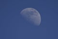 The first quarter moon. Royalty Free Stock Photo