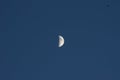 First Quarter Moon Royalty Free Stock Photo