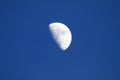 First quarter moon Royalty Free Stock Photo
