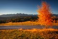 The first rays of the rising sun over the autumnal Tatra Mountains. The pass over Lapszanka. Poland Royalty Free Stock Photo