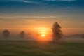 First rays of the sun over foggy field