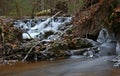 First realy cold weather freezes creek water