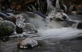 First realy cold weather freezes creek water