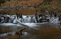 First realy cold weather freezes creek water