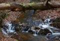 First realy cold weather freezes creek water