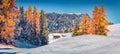 First snow in Alpe di Siusi village.Wooden chalet among the red larch trres.