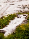 First snow in Alps touristic region. Fresh green meadow with rapids stream. Peaks of Alps mountains in background.