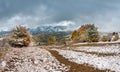 First snow in autumn. Snowfall in mountain village Royalty Free Stock Photo