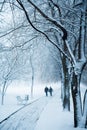 First snow. Snowy winter park scene with benches and couple Royalty Free Stock Photo