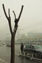 The first snow of beijing in 2011