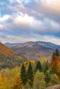 First snow covering autumn forest on mountain slope Royalty Free Stock Photo