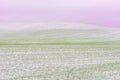 First snow on crop fields in daylight Royalty Free Stock Photo