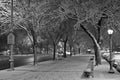 First snow on Eastern Parkway