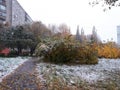 The first snow in the fall in the city. Snow covered grass, yellow foliage, trees Royalty Free Stock Photo