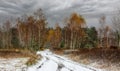 The first snow fell. The leaves did not have time to fall. Royalty Free Stock Photo