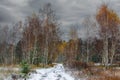 The first snow fell. The leaves did not have time to fall. Royalty Free Stock Photo