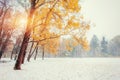 First snow in the forest. Beauty world. Road