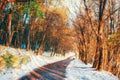 First snow in the forest. Beauty world. Road Royalty Free Stock Photo