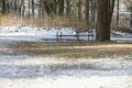 First snow in the forest. empty park, forest. bench in the woods