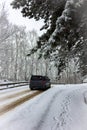 The first snow in the forest among fir trees.