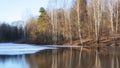 first snow and ice on the lake in the forest in late autumn on a sunny day Royalty Free Stock Photo