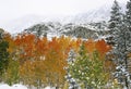 First Snow in Mountains Royalty Free Stock Photo