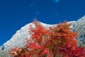 First snow on the mountains Royalty Free Stock Photo
