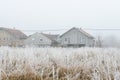 The first snow in the plains of Vojvodina. Novi Sad  Serbia Royalty Free Stock Photo